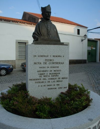 Pedro Moya Contreras
