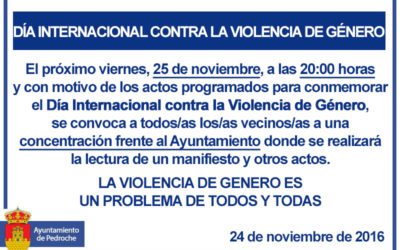 Día Internacional contra la Violencia de Género