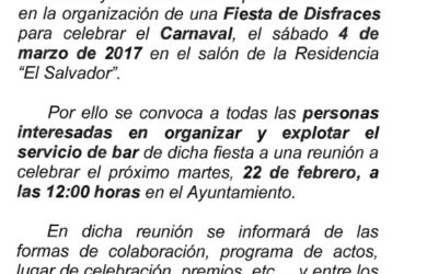 Servicio de bar para Fiesta de Disfraces Carnaval 2017