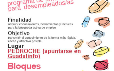 Píldoras Formativas. Programa de formación para desempleados/as
