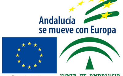Programa de Iniciativas de Cooperación Local