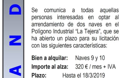 Alquiler de naves 9 y 10 de Polígono Industrial “La Tejera”