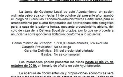 Anuncio: Caza de paloma torcaz, temporadas 2019/2020 a 2022/2023