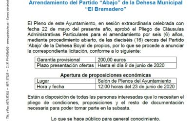 Arrendamiento del Partido ‘Abajo’ de la Dehesa Municipal ‘El Bramadero’
