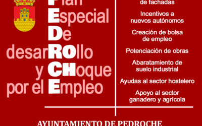 PLAN PEDROCHE. Plan de choque por el empleo y desarrollo económico
