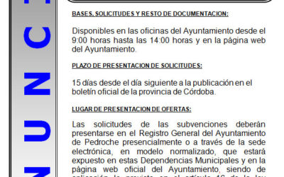 Convocatoria de subvenciones a empresas y trabajadores autónomos