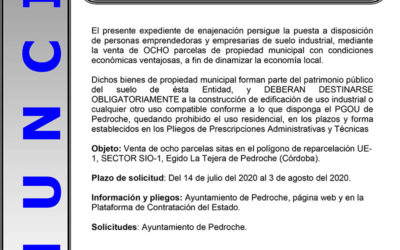 Enajenación de ocho parcelas del polígono industrial