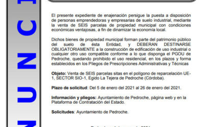 ANUNCIO. Enajenación de parcelas polígono de reparcelación UE-1