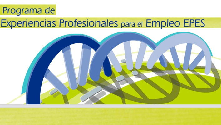Programa de Experiencias Profesionales para el empleo (EPES) de Mancomunidad Los Pedroches 1