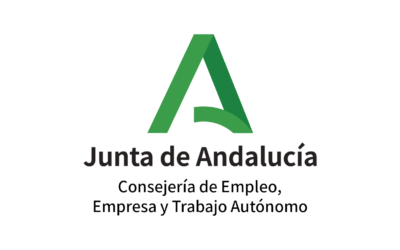 LÍNEA 8. SUBVENCIONES EN RÉGIMEN DE CONCURRENCIA NO COMPETITIVA DIRIGIDAS A LA CONCILIACIÓN DE LA VIDA PERSONAL, FAMILIAR Y LABORAL EN ANDALUCÍA, CONVOCADAS PARA EL AÑO 2024